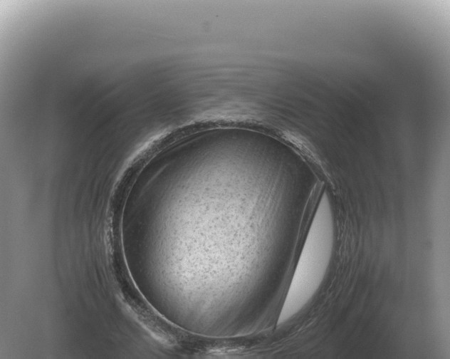 X0000081470680200701191806