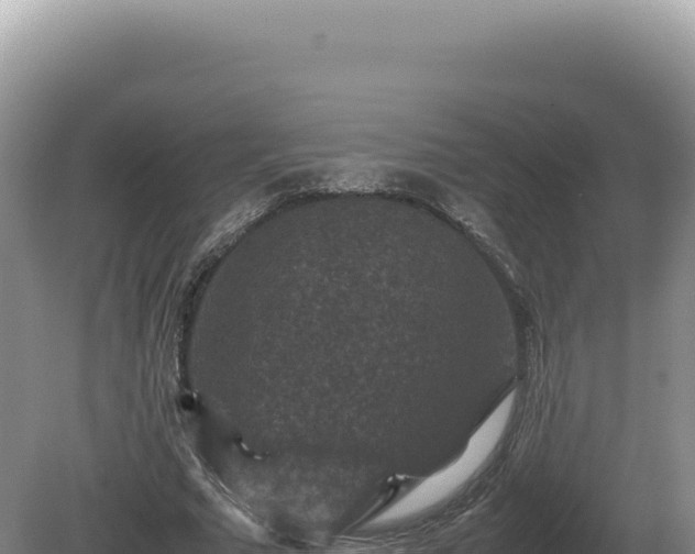 X0000081470681200701191806