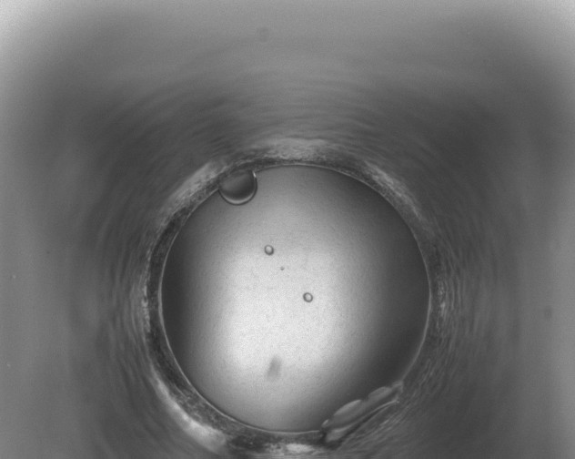 X0000081470682200701191806