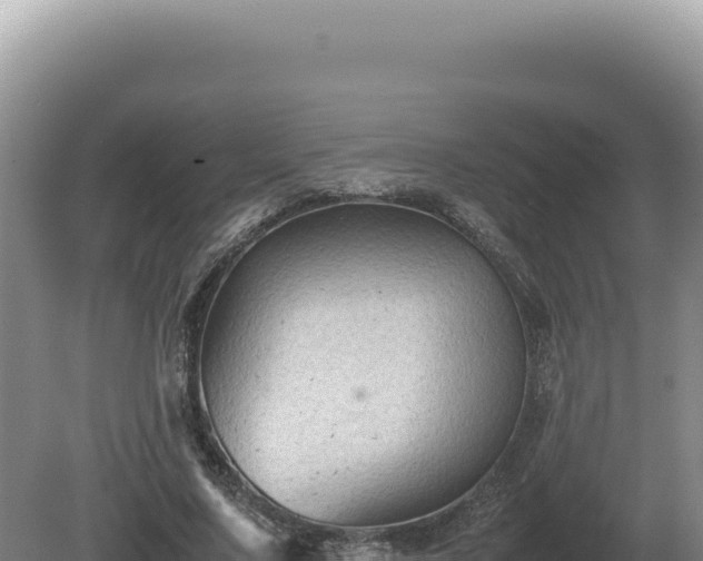 X0000081470683200701191806