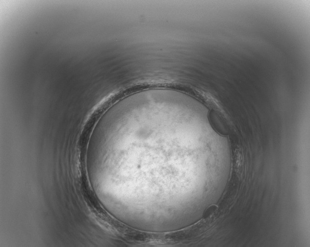 X0000081470684200701191806