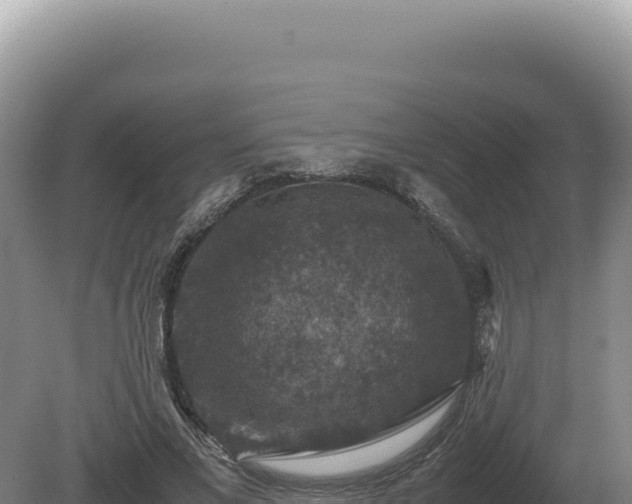 X0000081470685200701191806