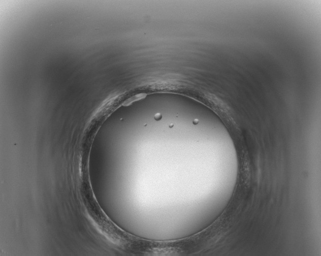 X0000081470686200701191806