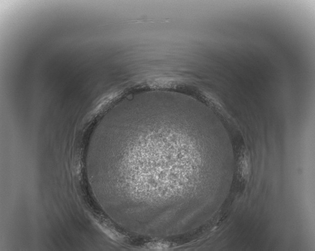 X0000081470687200701191806