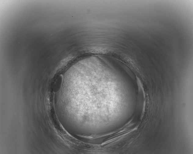 X0000081470688200701191806