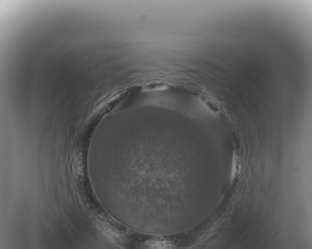 X0000081470689200701191806