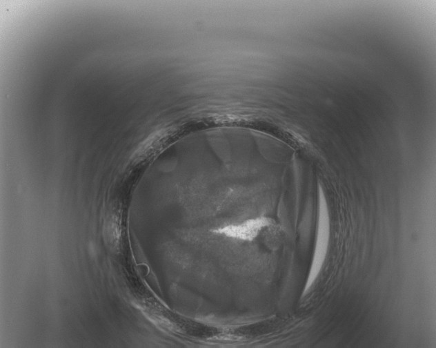 X0000081470691200701191806