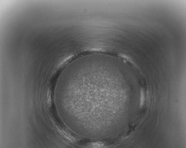 X0000081470692200701191806