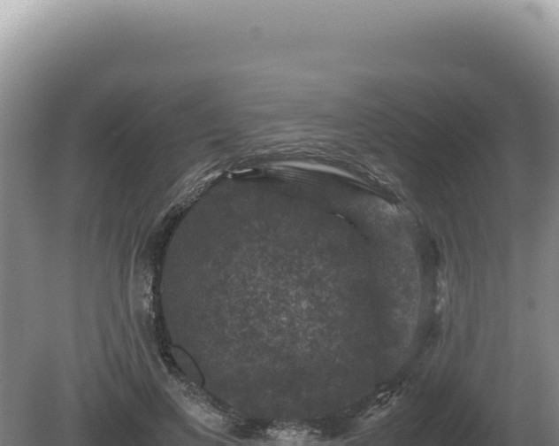 X0000081470693200701191806