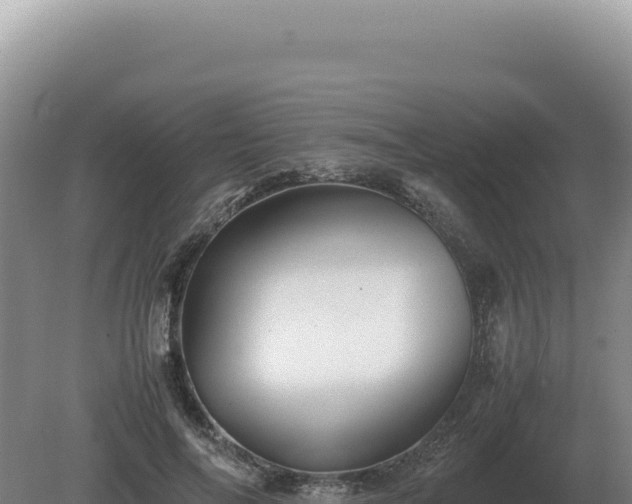 X0000081470694200701191806