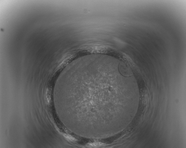 X0000081470695200701191806