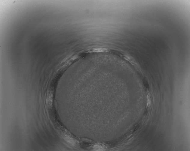 X0000081470697200701191806