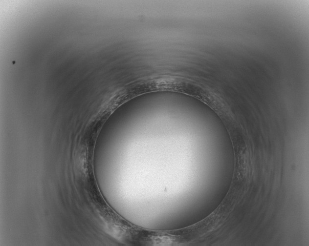 X0000081470698200701191806