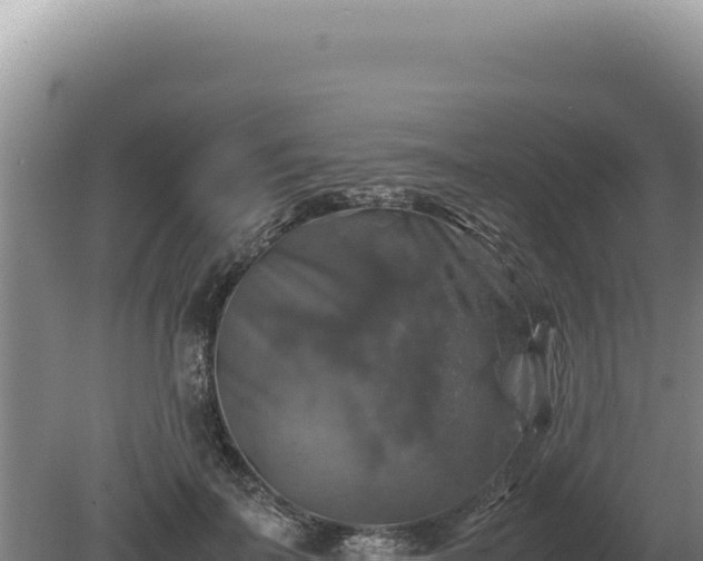 X0000081470699200701191806