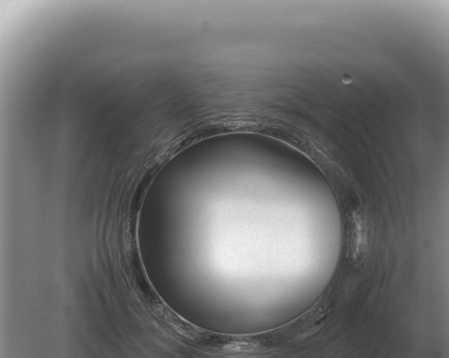 X0000081470700200701191806