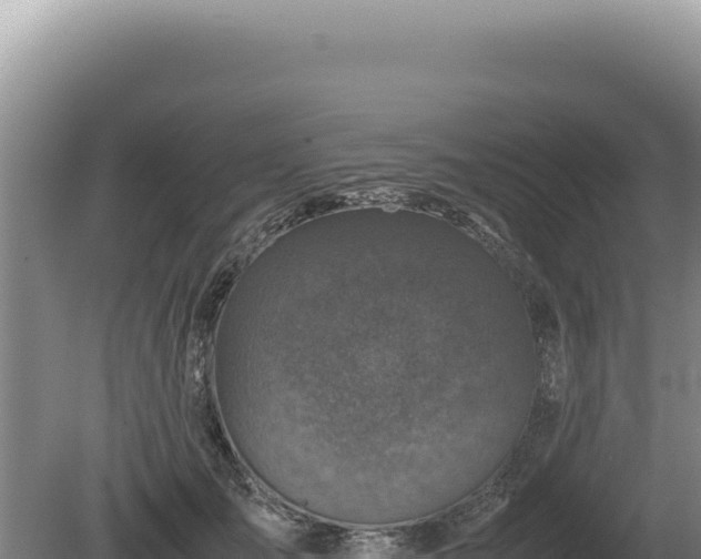 X0000081470701200701191806