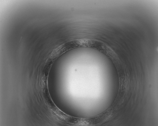 X0000081470702200701191806