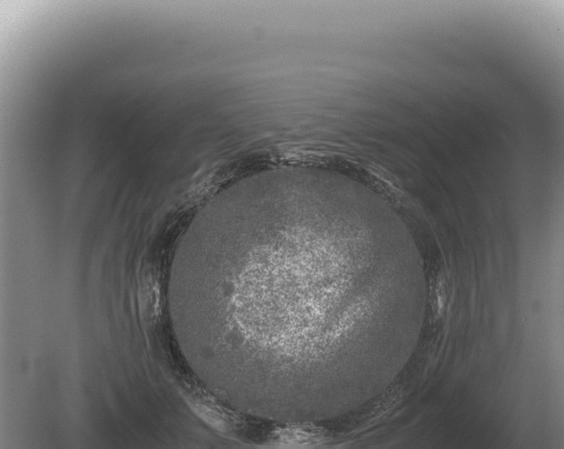 X0000081470703200701191806