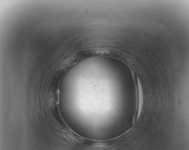 X0000081470704200701191806