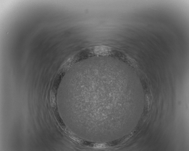 X0000081470705200701191806