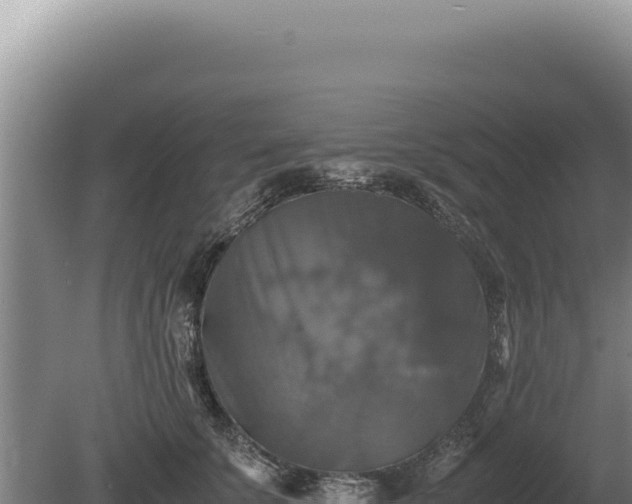 X0000081470707200701191806