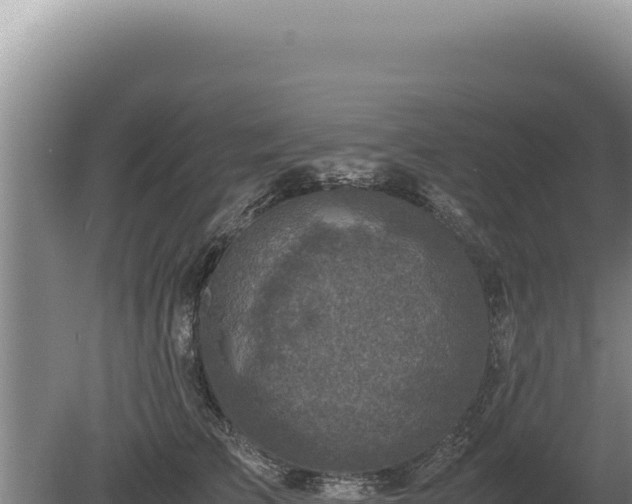 X0000081470709200701191806