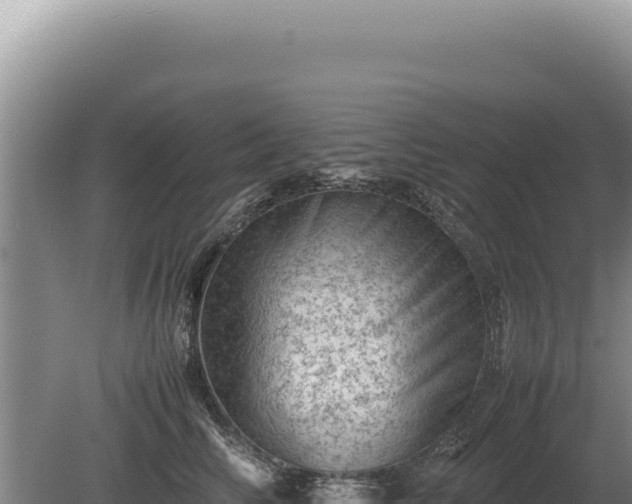 X0000081470710200701191806