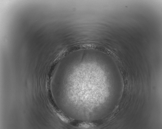 X0000081470712200701191806