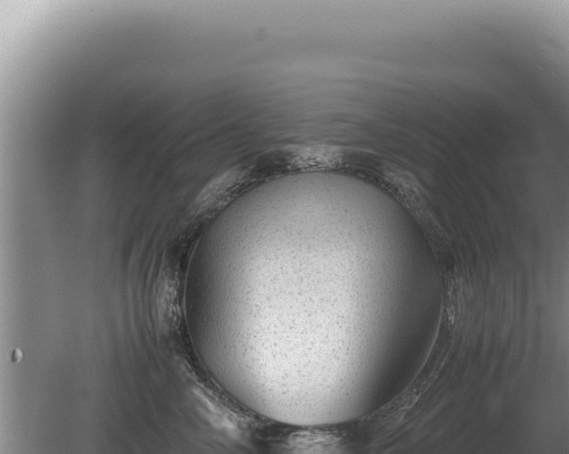 X0000081470714200701191806