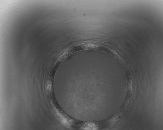 X0000081470715200701191806