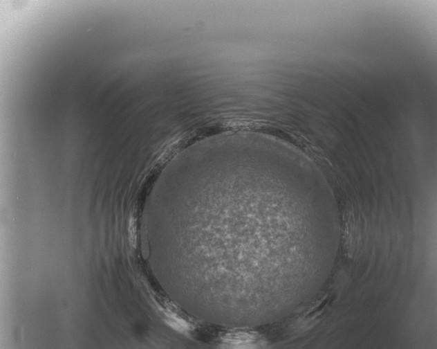 X0000081470716200701191806