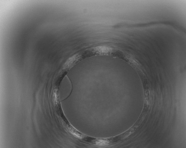 X0000081470718200701191806