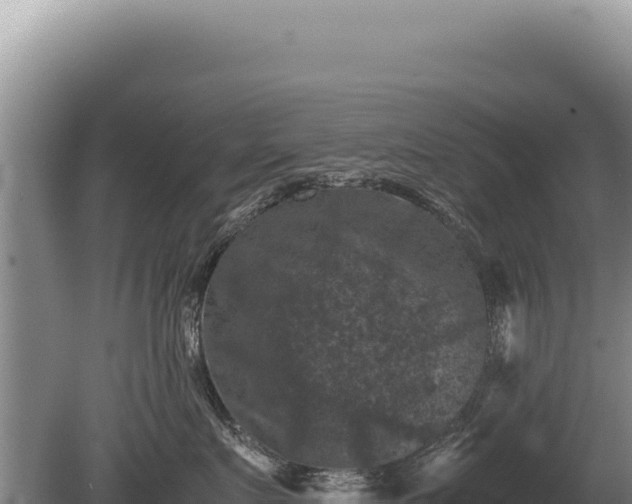 X0000081470719200701191806