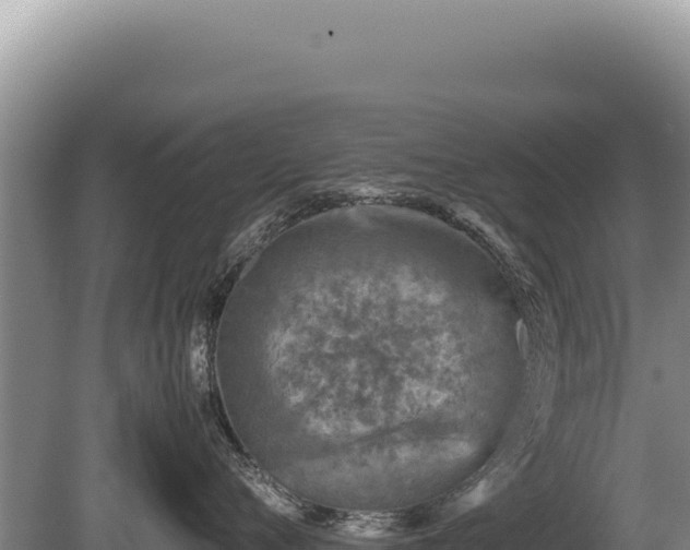 X0000081470720200701191806