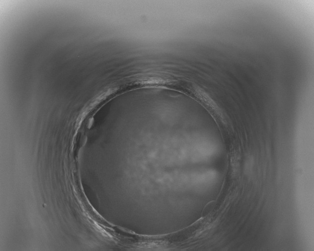 X0000081470721200701191805