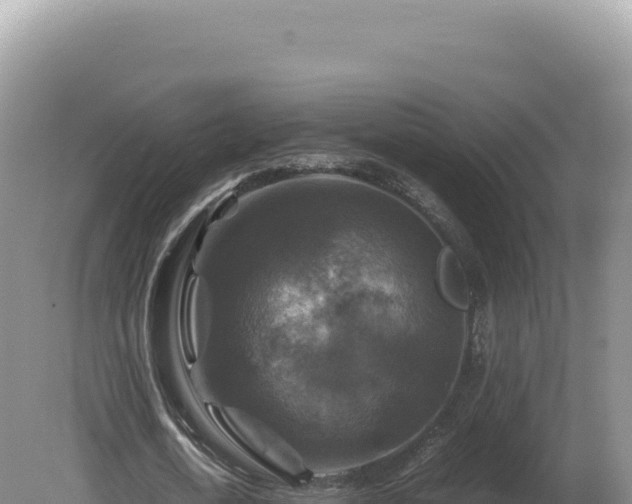 X0000081470722200701191805