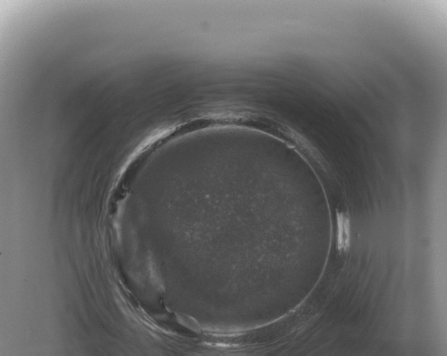 X0000081470723200701191805