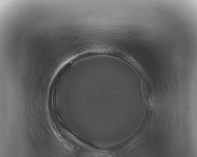 X0000081470724200701191805