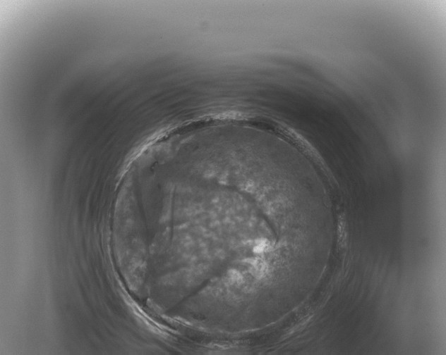 X0000081470725200701191805