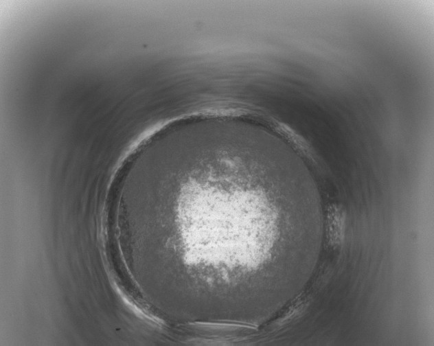 X0000081470726200701191805