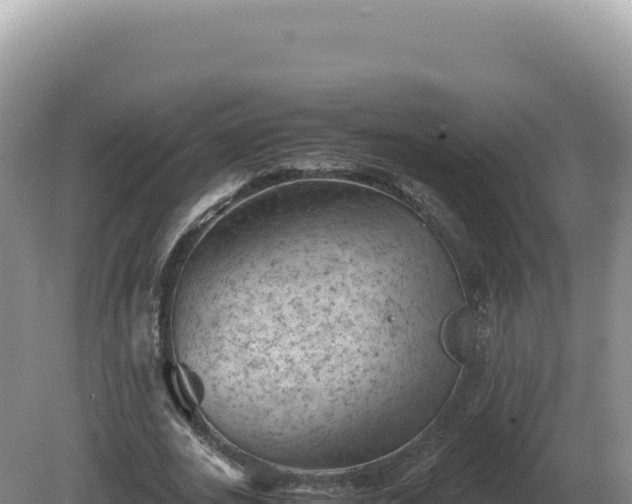 X0000081470727200701191805