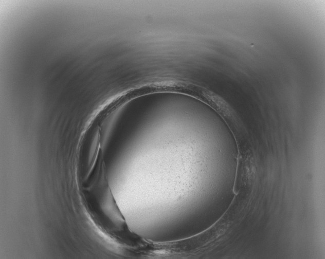 X0000081470728200701191805