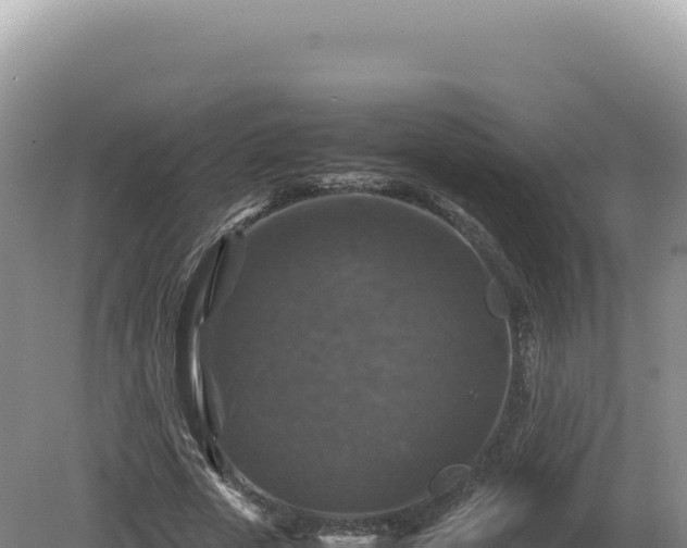 X0000081470729200701191805