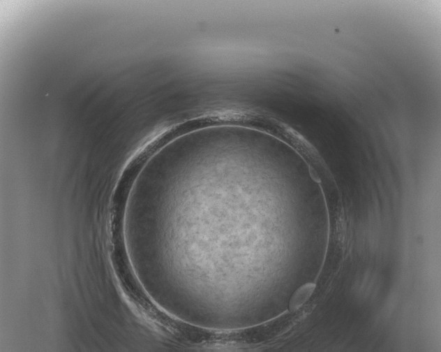 X0000081470730200701191805