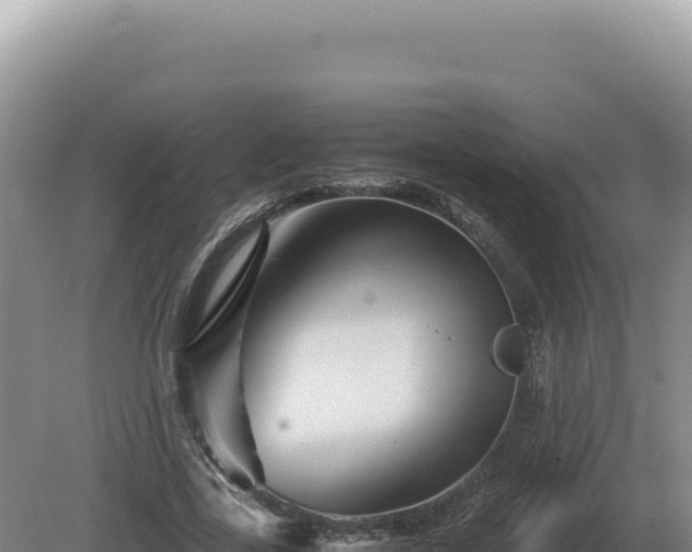 X0000081470731200701191805