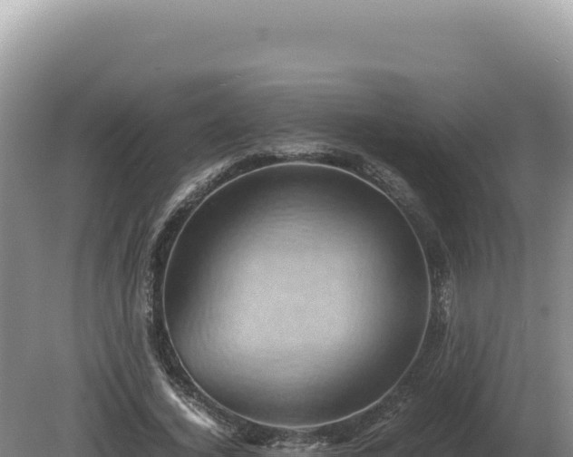 X0000081470732200701191805