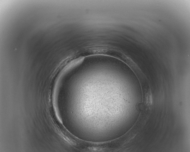 X0000081470733200701191805