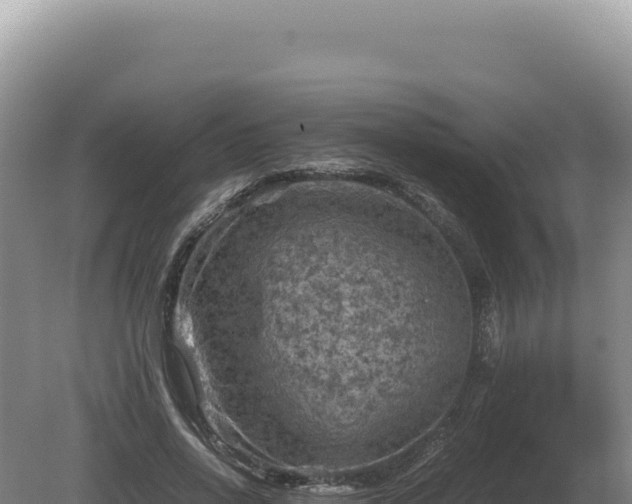 X0000081470734200701191805