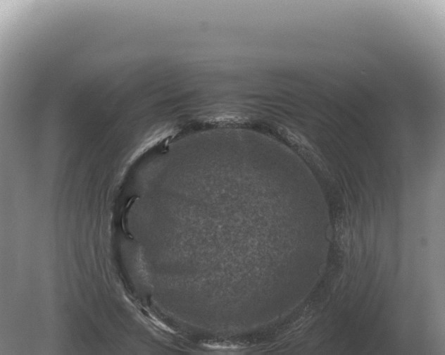 X0000081470735200701191805