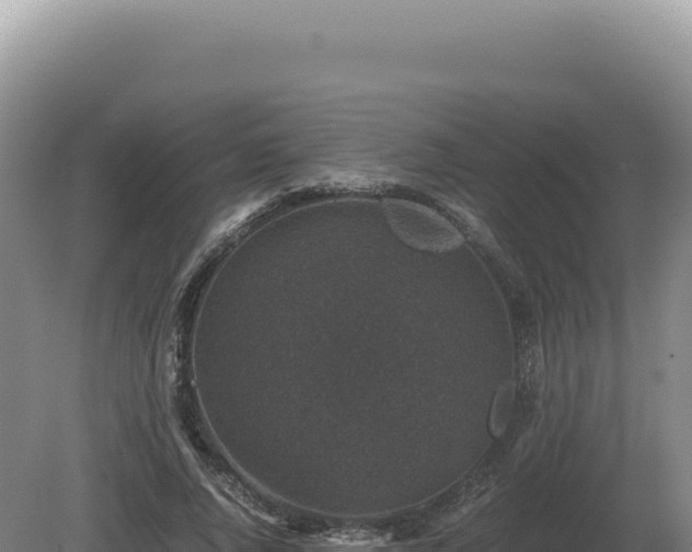 X0000081470736200701191805